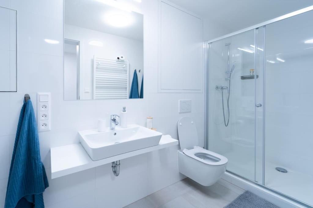 City Park Apartment - Brno Esterno foto